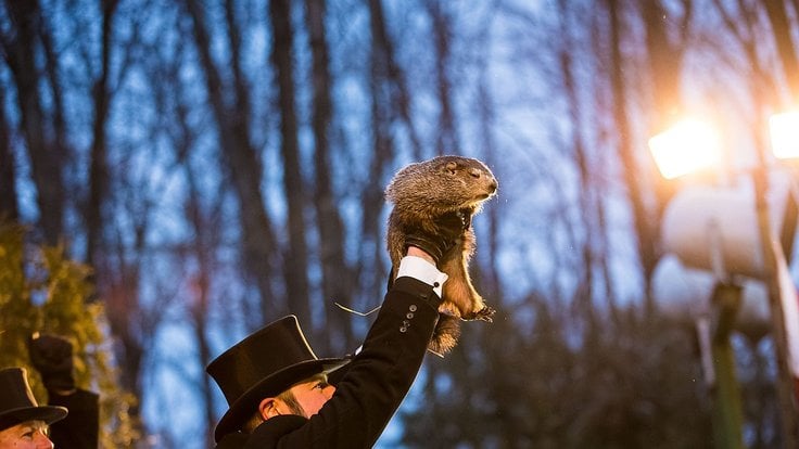 Punxsutawney_Phil_2018.jpg