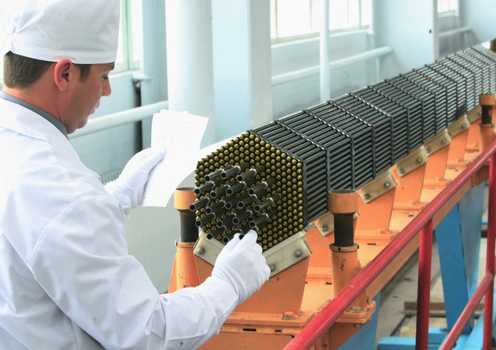 RIAN_archive_132603_Nuclear_power_reactor_fuel_assembly
