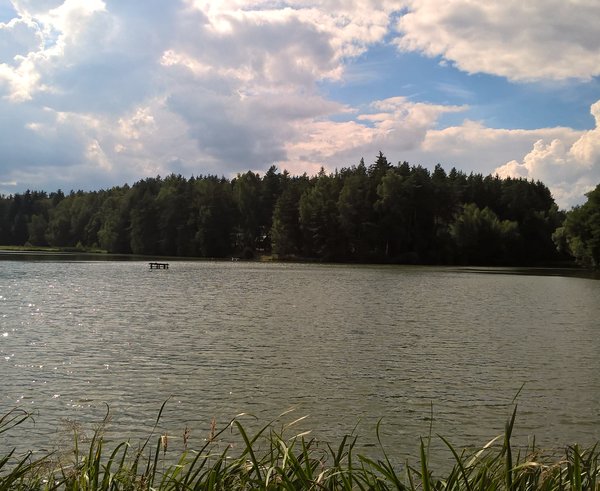 Rybník Ředkovec na Vysočině