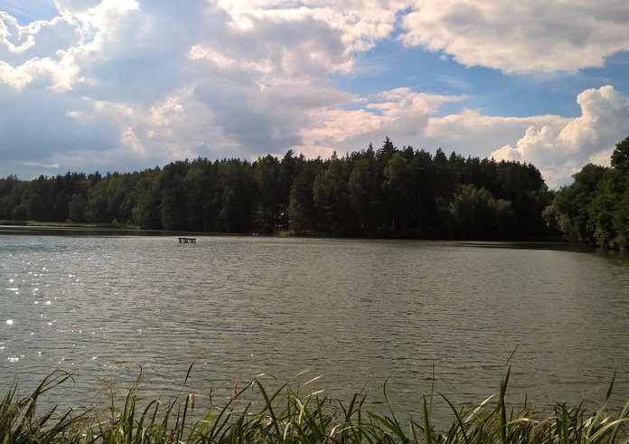 Rybník Ředkovec na Vysočině