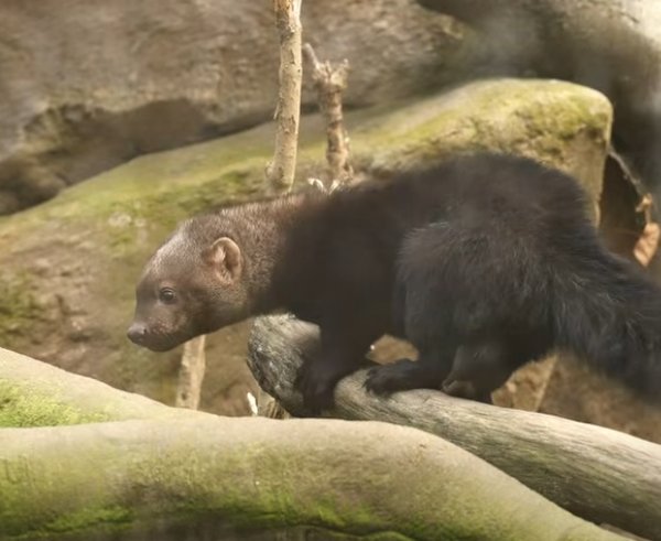 Snímek obrazovky_1-12-2025_185216_www.facebook.com