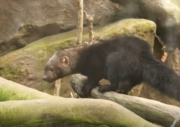 Snímek obrazovky_1-12-2025_185216_www.facebook.com