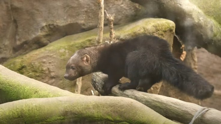 Snímek obrazovky_1-12-2025_185216_www.facebook.com