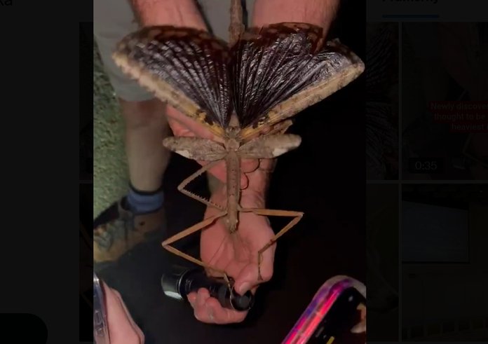 feature-image