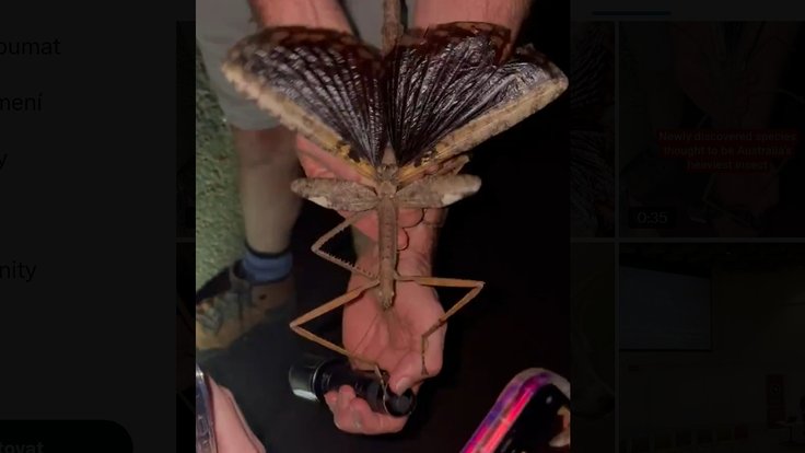 feature-image