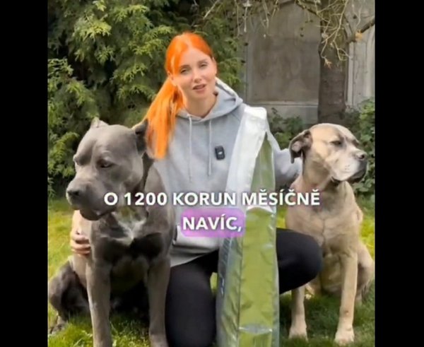 Snímek obrazovky_11-9-2025_135826_x.com