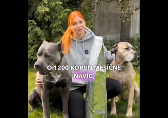 Snímek obrazovky_11-9-2025_135826_x.com