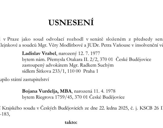 Snímek obrazovky 2025-05-30 110636.jpg