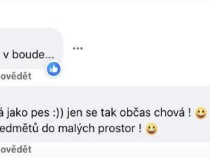 Snímek obrazovky 2025-10-14 181605.jpg