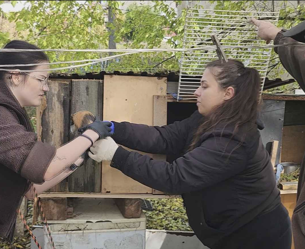 Snímek obrazovky 2025-11-06 v 11.34.46