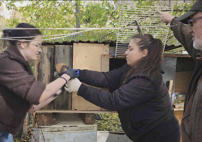 Snímek obrazovky 2025-11-06 v 11.34.46