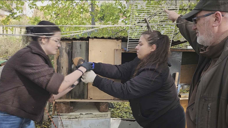 Snímek obrazovky 2025-11-06 v 11.34.46