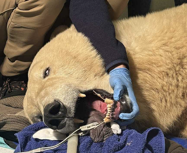 Snímek obrazovky 2025-11-12 v 10.44.03