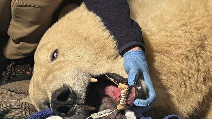 Snímek obrazovky 2025-11-12 v 10.44.03