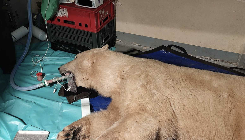 Snímek obrazovky 2025-11-12 v 10.52.54