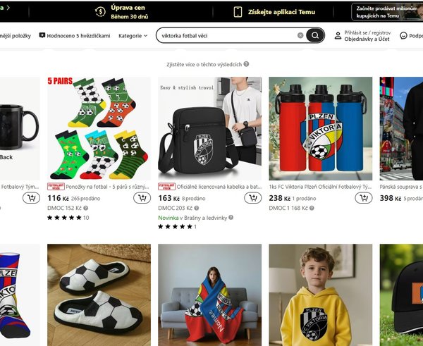 Snímek obrazovky 2025-11-19 130259