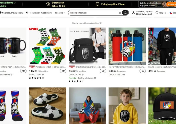 Snímek obrazovky 2025-11-19 130259