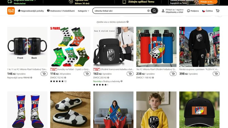 Snímek obrazovky 2025-11-19 130259