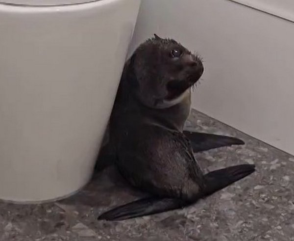 Snímek obrazovky 2025-12-05 112452