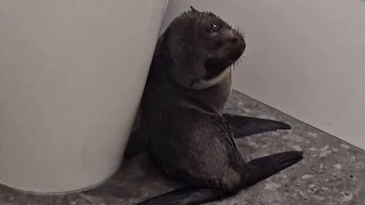 Snímek obrazovky 2025-12-05 112452