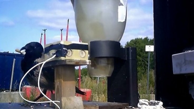 Snímek obrazovky 2025-12-16 112014