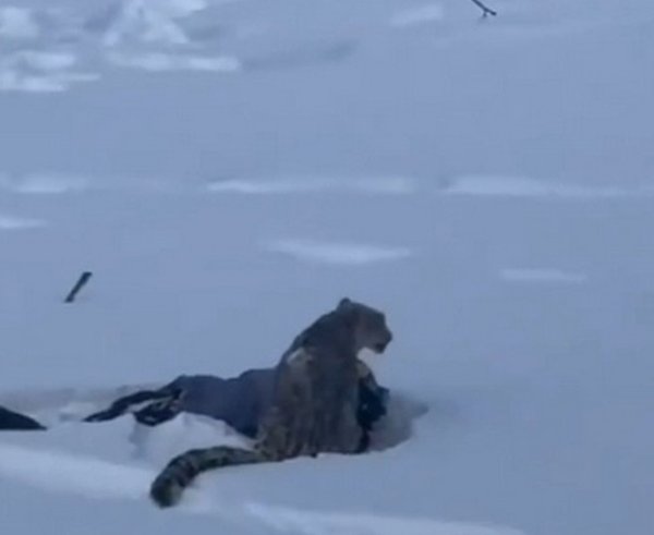 Snímek obrazovky_27-1-2026_92849_x.com