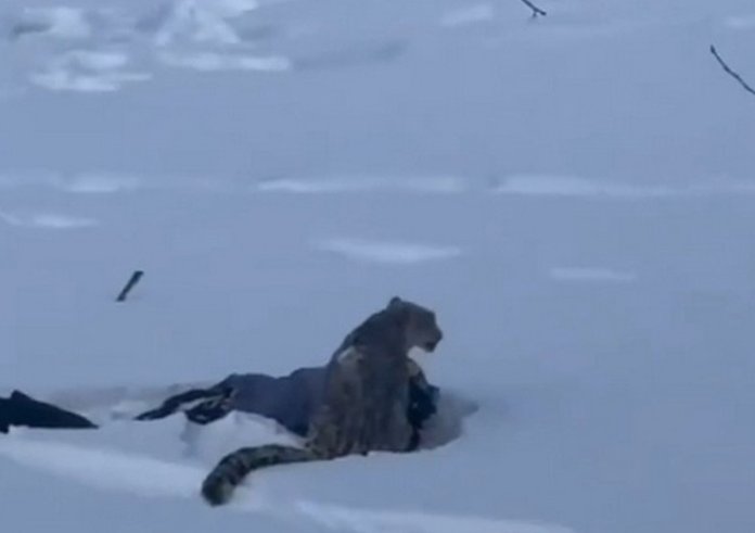 Snímek obrazovky_27-1-2026_92849_x.com