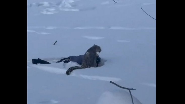 Snímek obrazovky_27-1-2026_92849_x.com