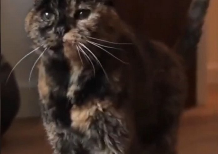 Snímek obrazovky_29-12-2025_92356_www.youtube.com