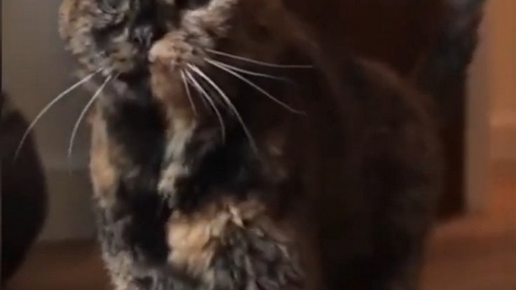 Snímek obrazovky_29-12-2025_92356_www.youtube.com