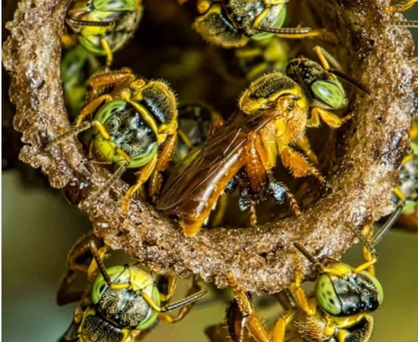 Snímek obrazovky_30-12-2025_124633_www.instagram.com