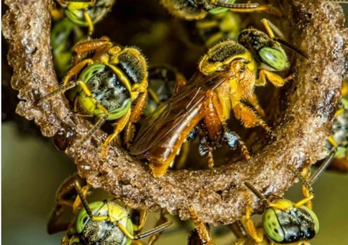 Snímek obrazovky_30-12-2025_124633_www.instagram.com