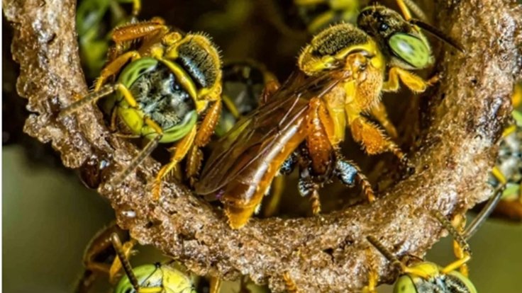 Snímek obrazovky_30-12-2025_124633_www.instagram.com