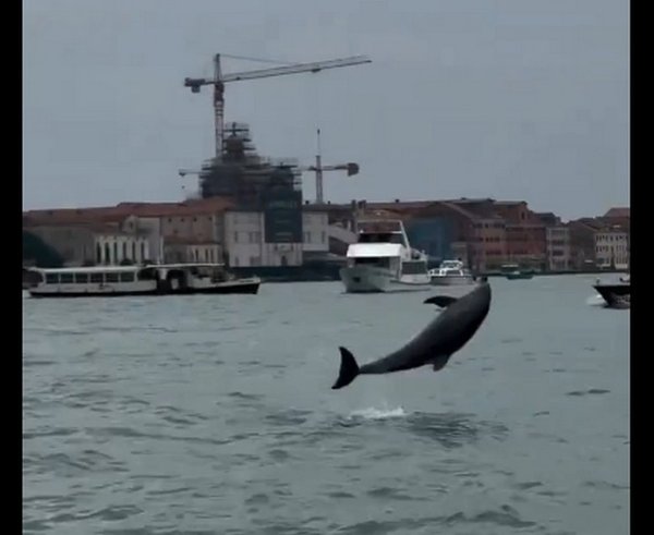 Nový Textový dokument OpenDocument (2)