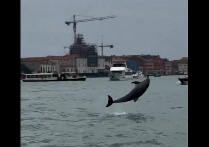 Nový Textový dokument OpenDocument (2)