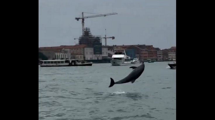 Nový Textový dokument OpenDocument (2)