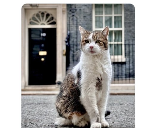 Snímek obrazovky_8-12-2025_19390_x.com