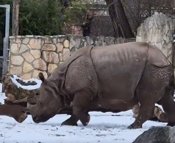 Snímek obrazovky_9-1-2026_17456_x.com