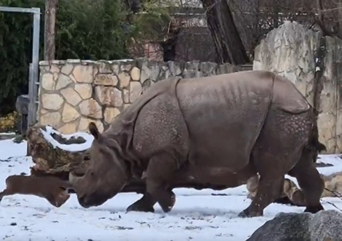 Snímek obrazovky_9-1-2026_17456_x.com