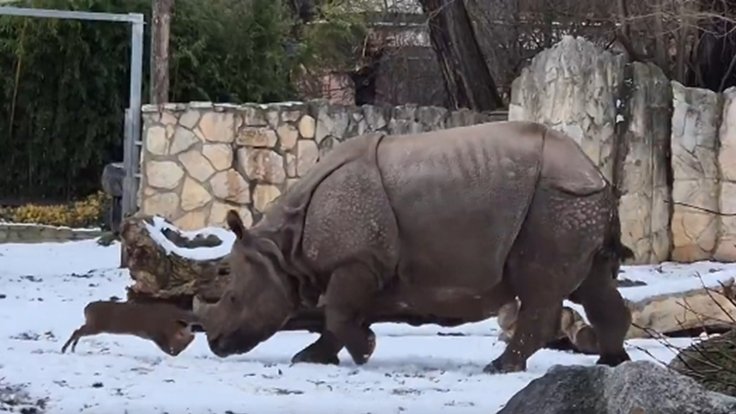 Snímek obrazovky_9-1-2026_17456_x.com