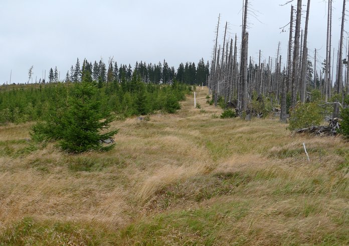 Šumava