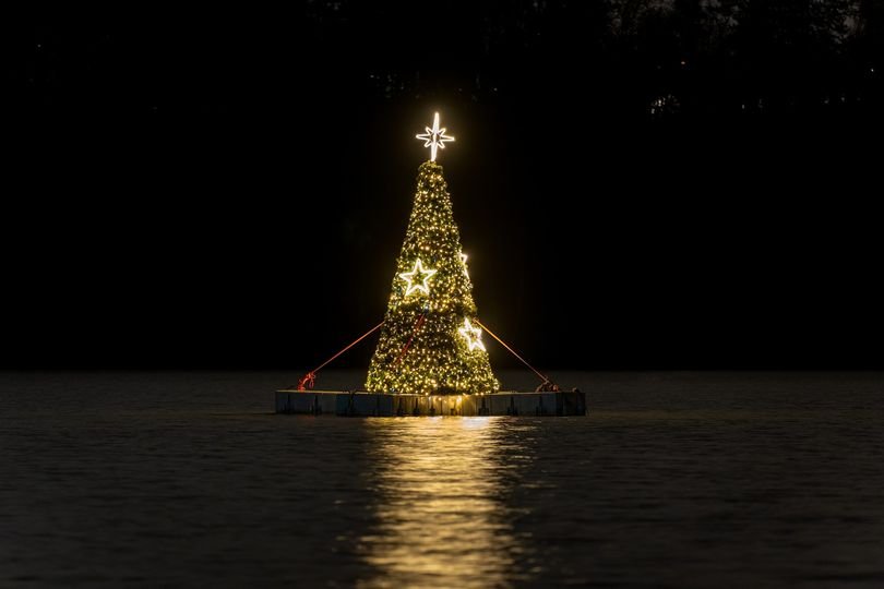 Vánoční stromeček na Borské přehradě
