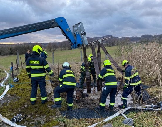 Vyprošťování koně zapadlého v bahně ústeckými hasiči.