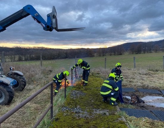 Vyprošťování koně zapadlého v bahně ústeckými hasiči.