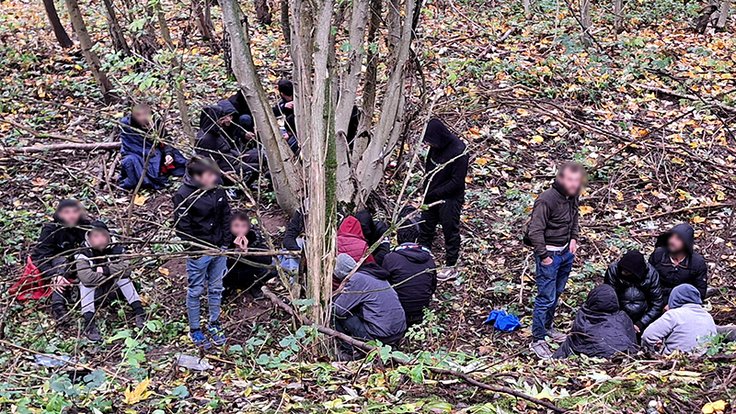 Skupina migrantů, které v lese vypátral policejní pes Umpalumpa