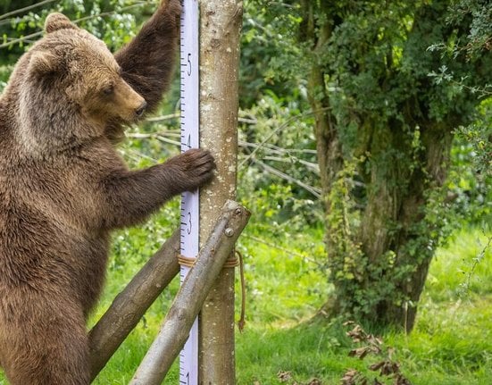 Weigh in at Whipsnade Zoo_Summer 2023-41.jpg