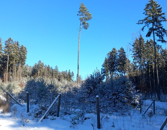 WhatsApp Image 2026-01-11 at 12.25.36