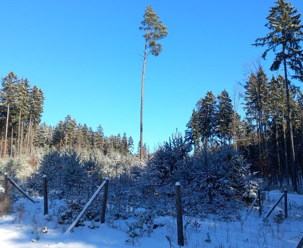 WhatsApp Image 2026-01-11 at 12.25.36