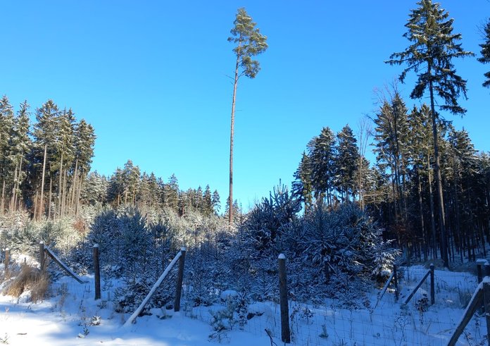 WhatsApp Image 2026-01-11 at 12.25.36