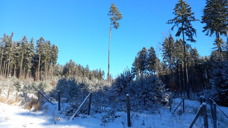 WhatsApp Image 2026-01-11 at 12.25.36